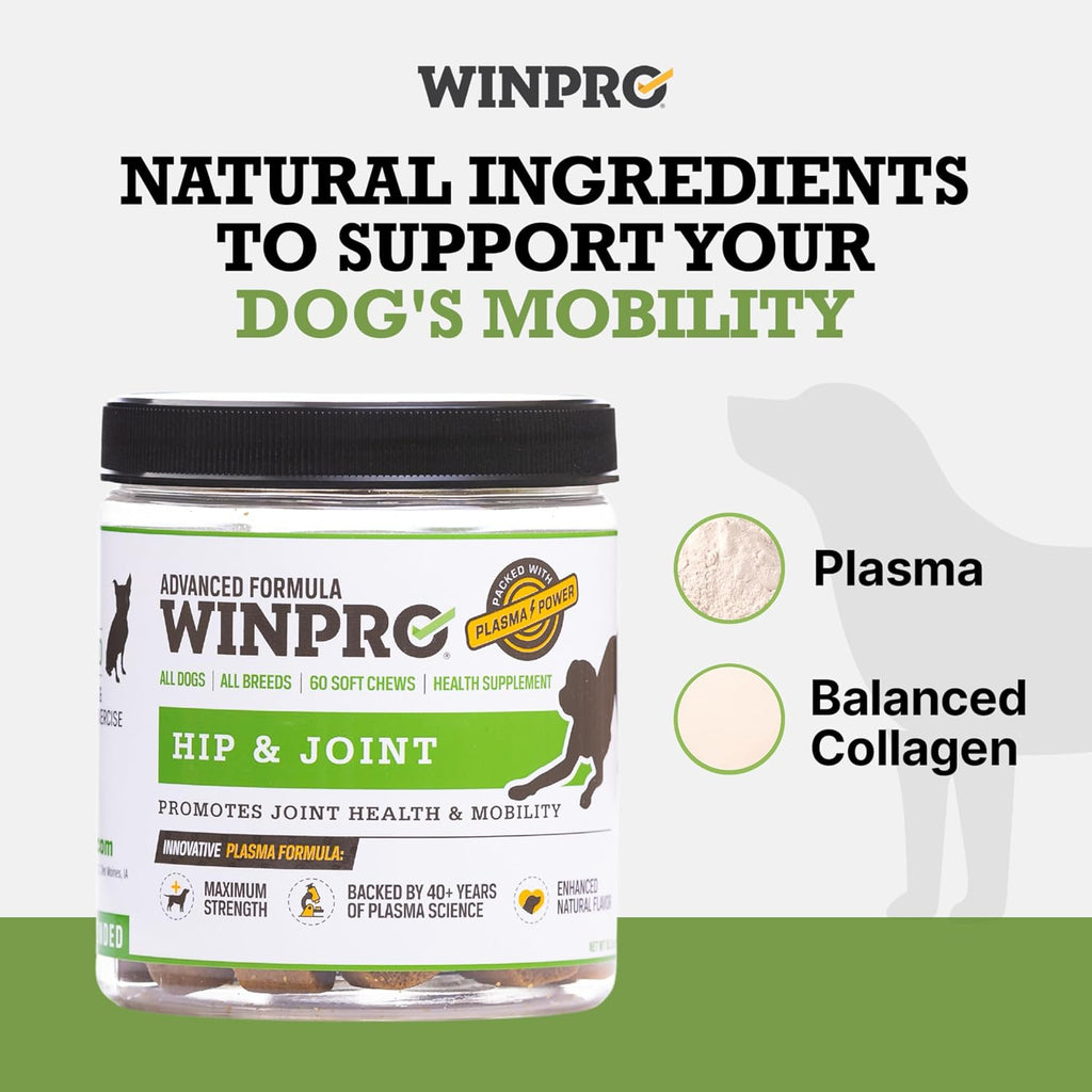 Hip & Joint Supplement for Dogs - Plasma Powered Soft Chews for Joint Health & Mobility – Fast-Acting with Collagen & Natural Ingredients for Dogs of All Breeds – 60 Chews