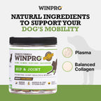 Hip & Joint Supplement for Dogs - Plasma Powered Soft Chews for Joint Health & Mobility – Fast-Acting with Collagen & Natural Ingredients for Dogs of All Breeds – 60 Chews