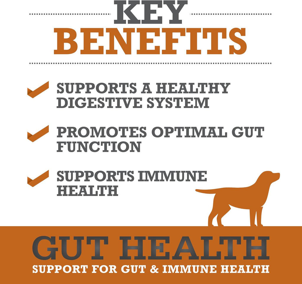 Dog Gut Health Supplement – Plasma-Powered Soft Chews for Dog Immune Health Support & Gut Health, Made with Natural Ingredients for Dogs of All Breeds & Sizes - 60 Count