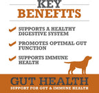 Dog Gut Health Supplement – Plasma-Powered Soft Chews for Dog Immune Health Support & Gut Health, Made with Natural Ingredients for Dogs of All Breeds & Sizes - 60 Count