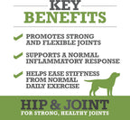 Hip & Joint Supplement for Dogs - Plasma Powered Soft Chews for Joint Health & Mobility – Fast-Acting with Collagen & Natural Ingredients for Dogs of All Breeds – 60 Chews