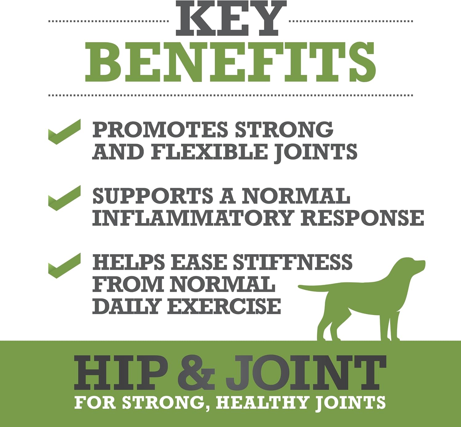 Hip & Joint Supplement for Dogs - Plasma Powered Soft Chews for Joint Health & Mobility – Fast-Acting with Collagen & Natural Ingredients for Dogs of All Breeds – 60 Chews