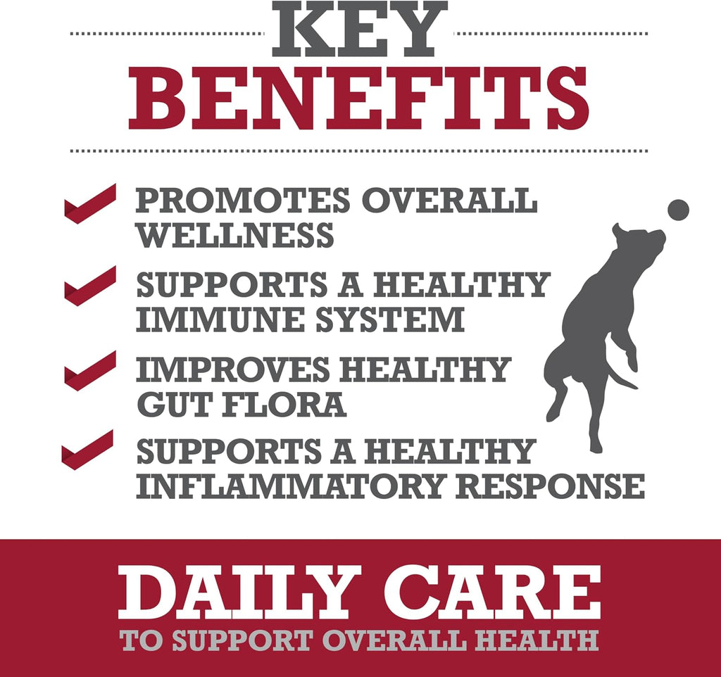 Pet Daily Care Chews for Dogs, 60 Soft Chews, Plasma Powered, Grain Free Supplement for Dogs with Probiotics to Support A Healthy Immune System