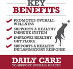 Pet Daily Care Chews for Dogs, 60 Soft Chews, Plasma Powered, Grain Free Supplement for Dogs with Probiotics to Support A Healthy Immune System