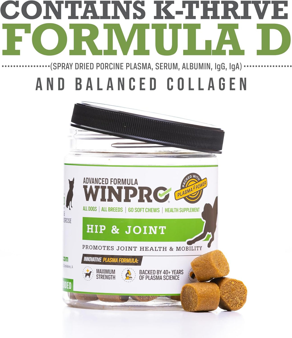 Hip & Joint Supplement for Dogs - Plasma Powered Soft Chews for Joint Health & Mobility – Fast-Acting with Collagen & Natural Ingredients for Dogs of All Breeds – 60 Chews
