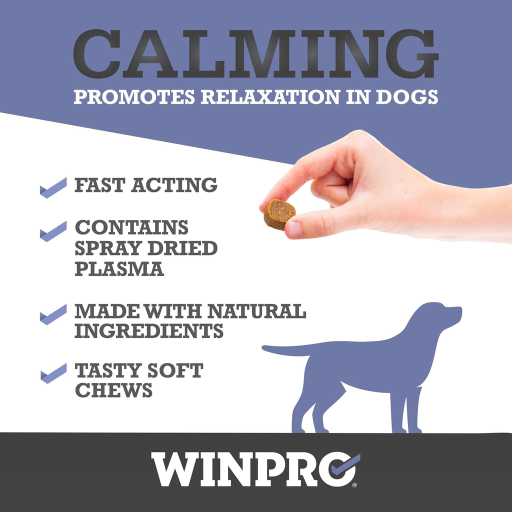Calming Chews for Dogs – Plasma-Powered Soft Chews to Promote Relaxation and Calming Effect – Made with Natural Ingredients, Grain-Free - Suitable for All Breeds & Sizes – 60 Count