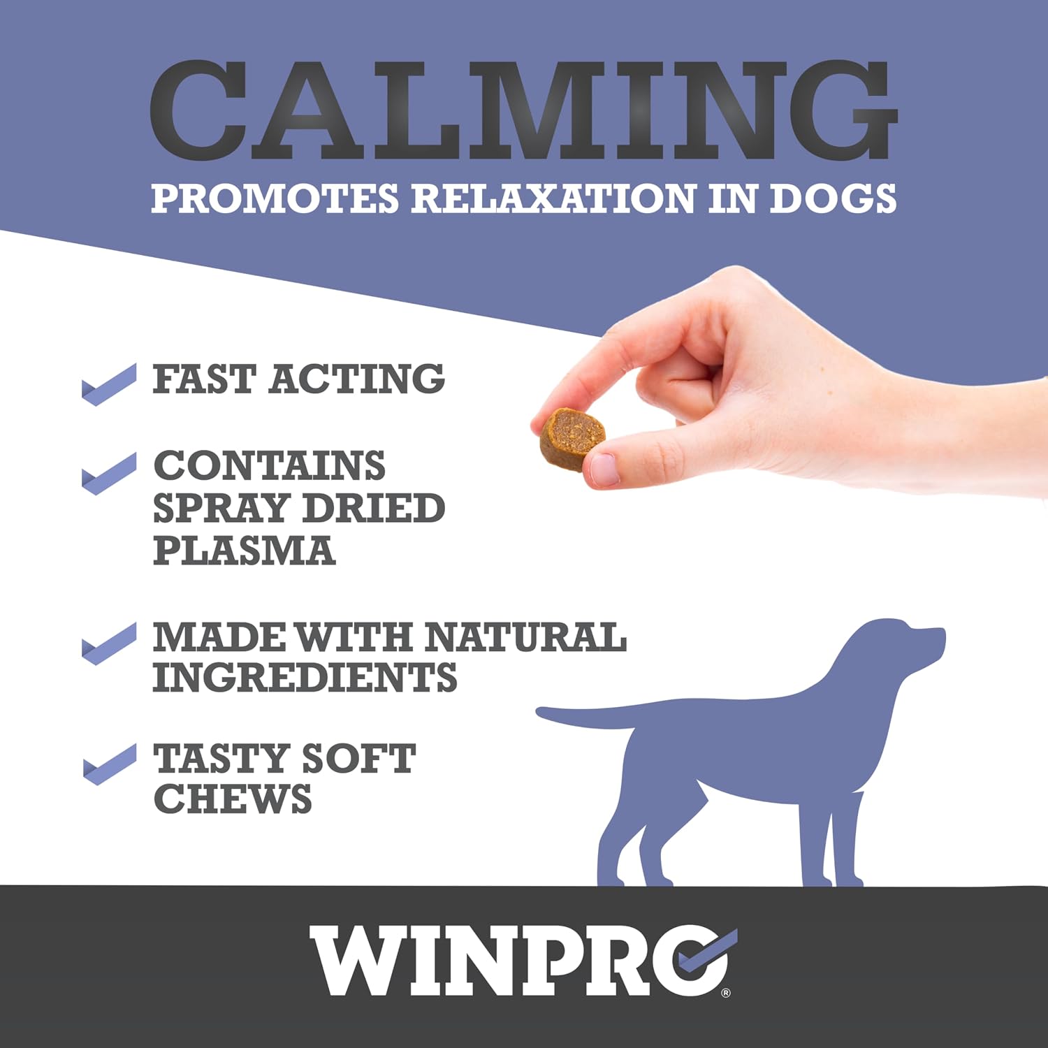 Calming Chews for Dogs – Plasma-Powered Soft Chews to Promote Relaxation and Calming Effect – Made with Natural Ingredients, Grain-Free - Suitable for All Breeds & Sizes – 60 Count