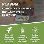 Hip & Joint Supplement for Dogs - Plasma Powered Soft Chews for Joint Health & Mobility – Fast-Acting with Collagen & Natural Ingredients for Dogs of All Breeds – 60 Chews