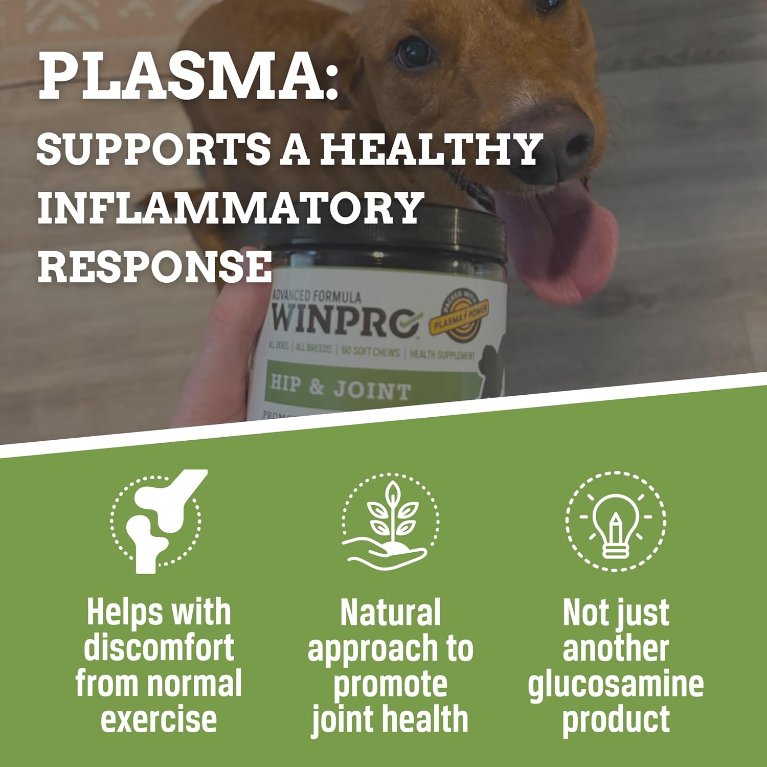 Hip & Joint Supplement for Dogs - Plasma Powered Soft Chews for Joint Health & Mobility – Fast-Acting with Collagen & Natural Ingredients for Dogs of All Breeds – 60 Chews