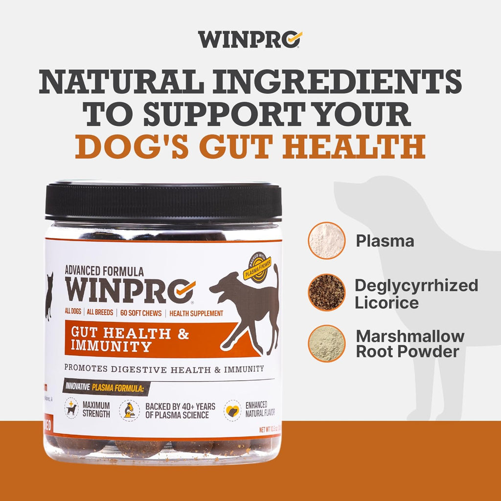Dog Gut Health Supplement – Plasma-Powered Soft Chews for Dog Immune Health Support & Gut Health, Made with Natural Ingredients for Dogs of All Breeds & Sizes - 60 Count