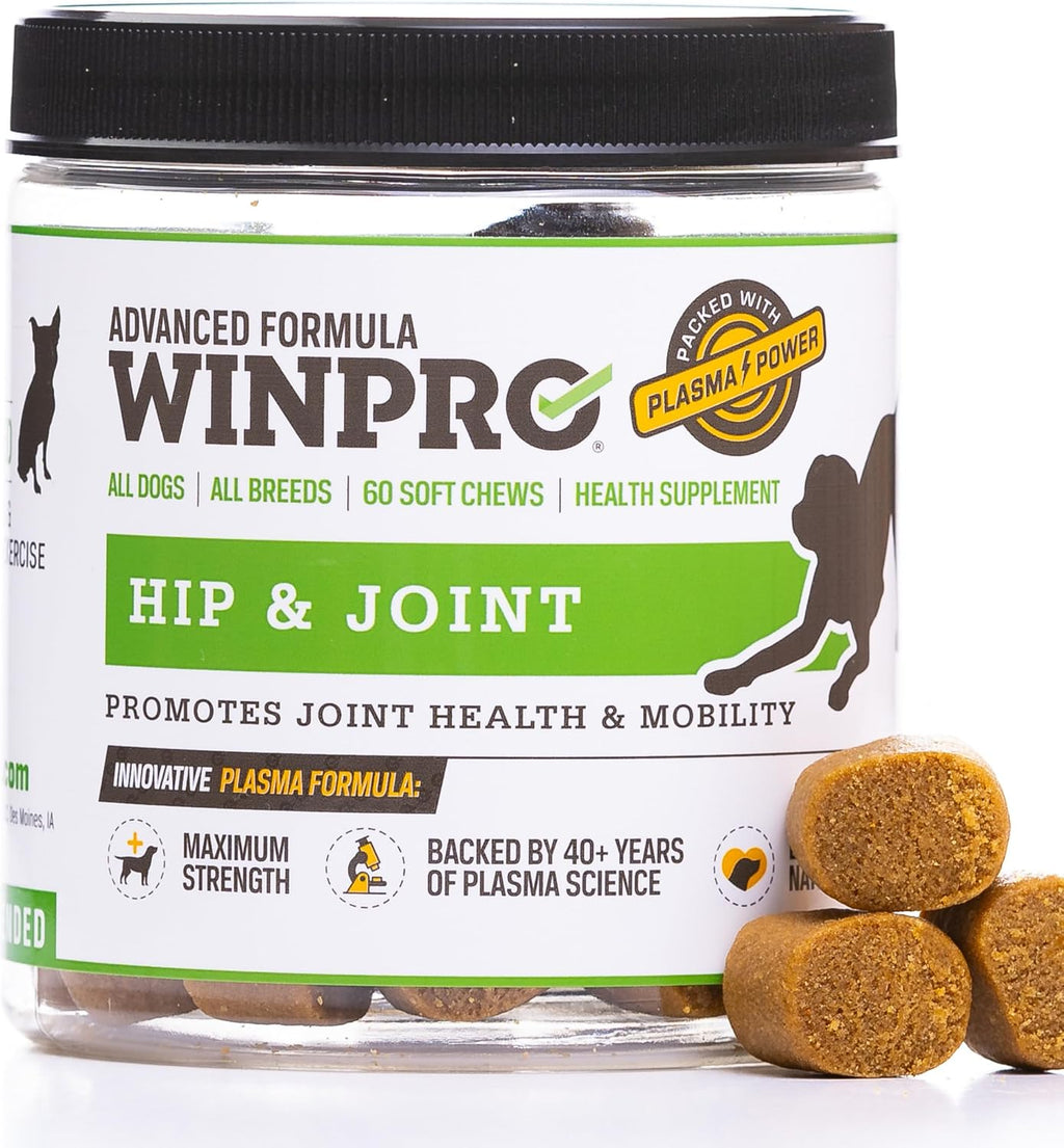 Hip & Joint Supplement for Dogs - Plasma Powered Soft Chews for Joint Health & Mobility – Fast-Acting with Collagen & Natural Ingredients for Dogs of All Breeds – 60 Chews