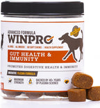 Dog Gut Health Supplement – Plasma-Powered Soft Chews for Dog Immune Health Support & Gut Health, Made with Natural Ingredients for Dogs of All Breeds & Sizes - 60 Count