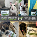 Hip & Joint Supplement for Dogs - Plasma Powered Soft Chews for Joint Health & Mobility – Fast-Acting with Collagen & Natural Ingredients for Dogs of All Breeds – 60 Chews
