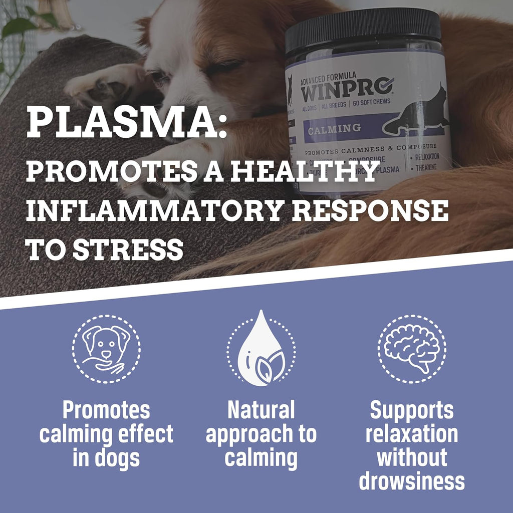Calming Chews for Dogs – Plasma-Powered Soft Chews to Promote Relaxation and Calming Effect – Made with Natural Ingredients, Grain-Free - Suitable for All Breeds & Sizes – 60 Count