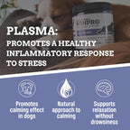 Calming Chews for Dogs – Plasma-Powered Soft Chews to Promote Relaxation and Calming Effect – Made with Natural Ingredients, Grain-Free - Suitable for All Breeds & Sizes – 60 Count