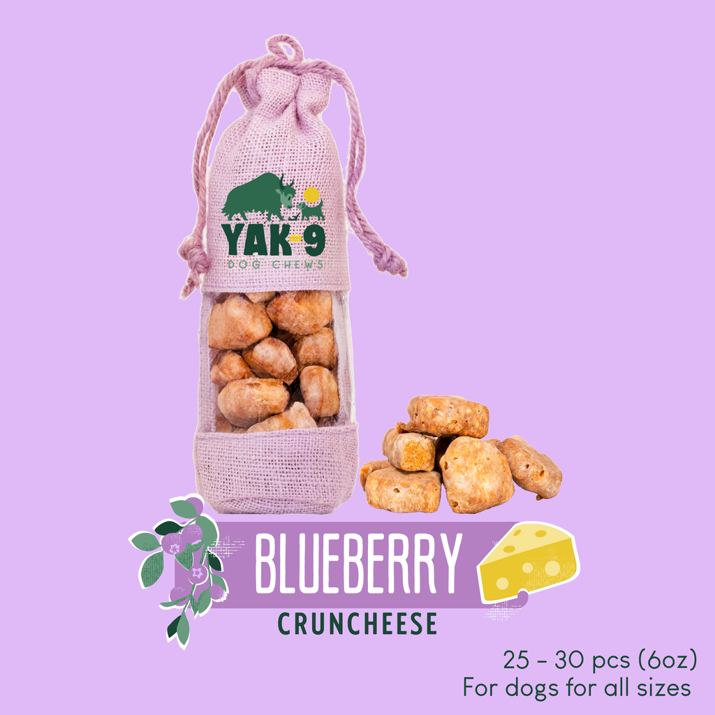 Blueberry Yak Chews for Dogs