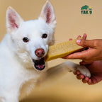 Coconut Yak Milk Chews for Dogs