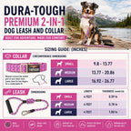 Dog Helios ® 'Dura-Tough' 2-in-1 Reflective Adjustable Fashion Dog Leash and Collar